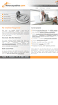 Mobile Screenshot of netscapades.com